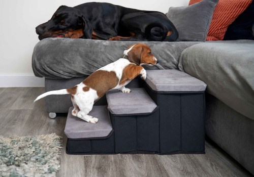 Making Your Home Comfortable for a Dog with Arthritis